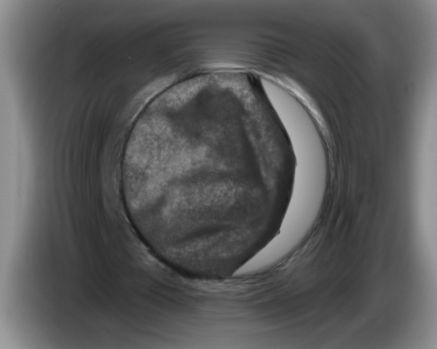 X0000083570385200703091642