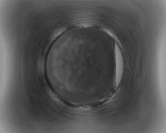 X0000083570386200703091642