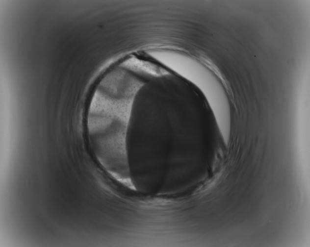 X0000083570387200703091642