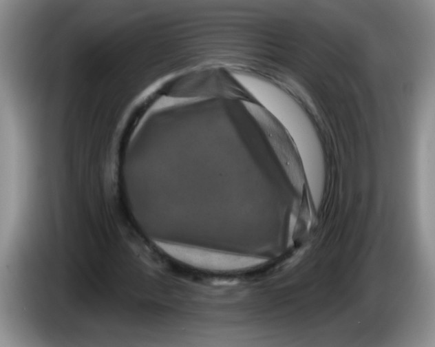 X0000083570388200703091642