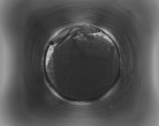 X0000083570389200703091642