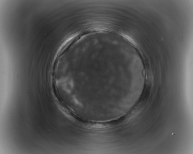 X0000083570390200703091642