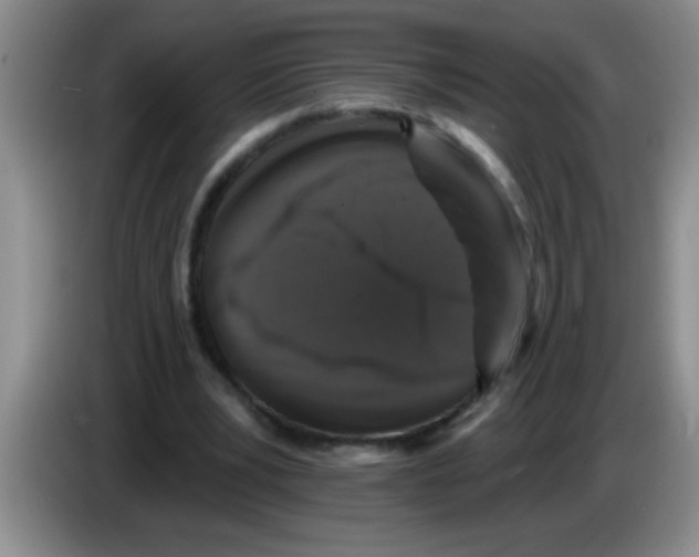X0000083570391200703091642
