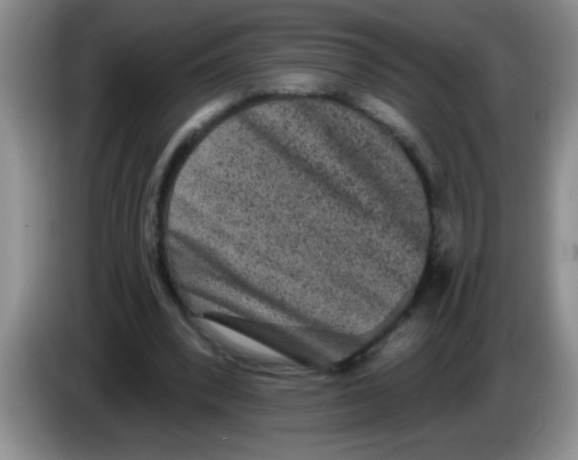 X0000083570392200703091642