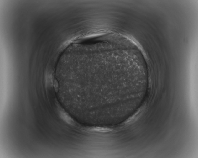 X0000083570393200703091642