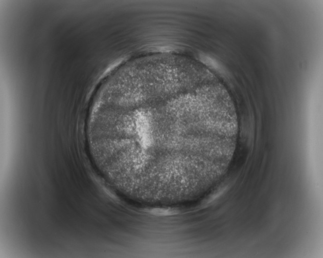 X0000083570394200703091642