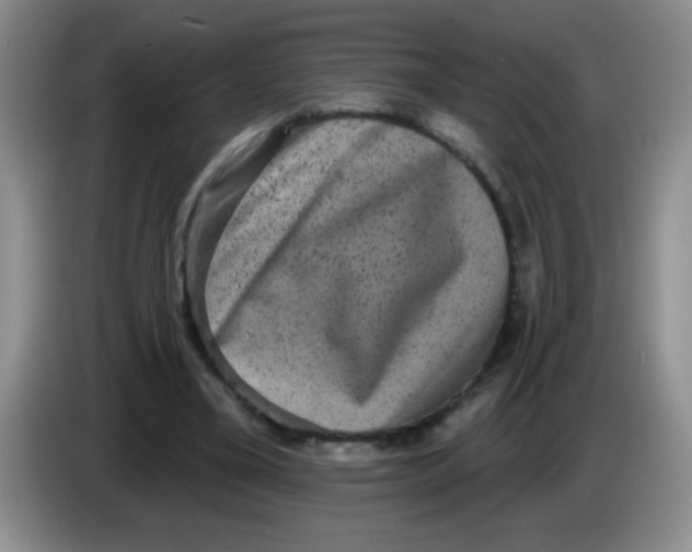 X0000083570395200703091642