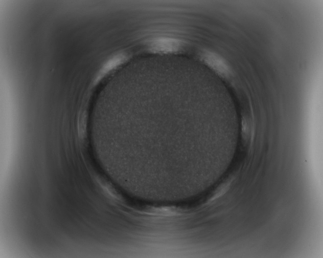 X0000083570396200703091642