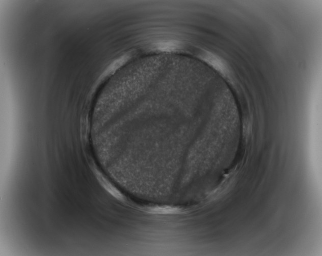 X0000083570397200703091642