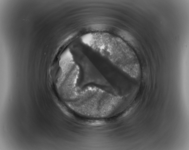 X0000083570398200703091642