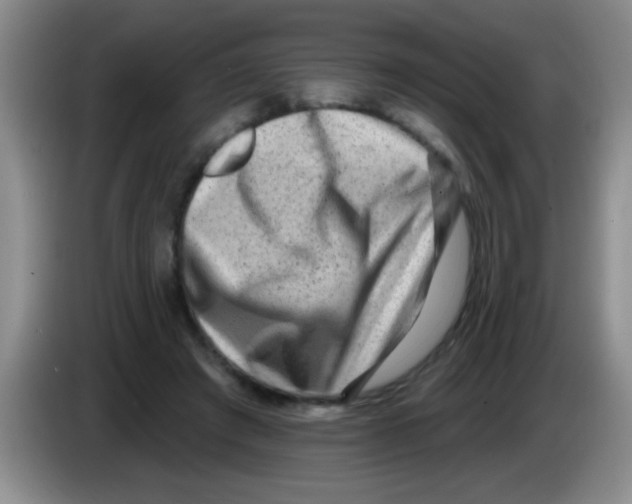 X0000083570401200703091642