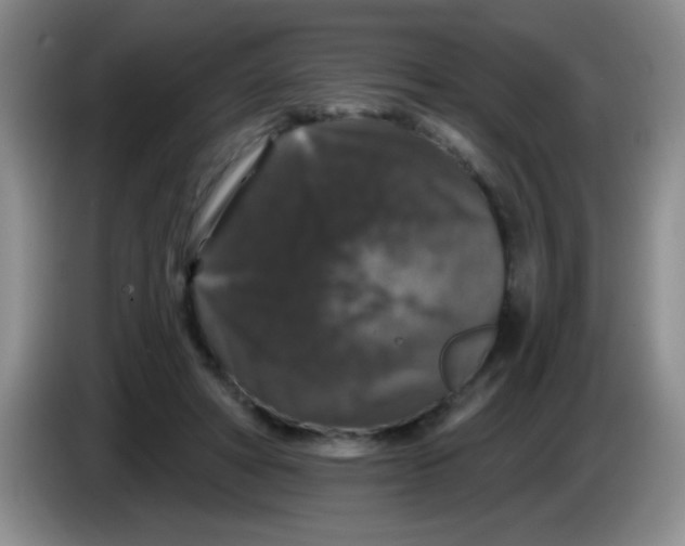X0000083570402200703091642