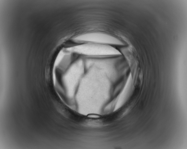 X0000083570403200703091642