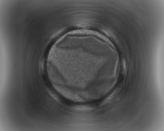 X0000083570404200703091642