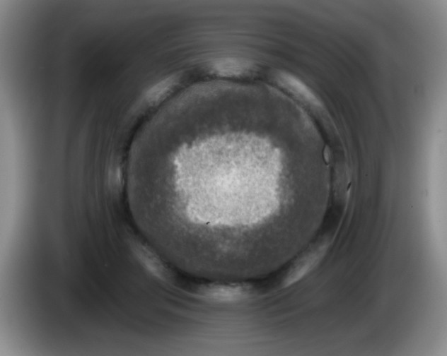 X0000083570405200703091642