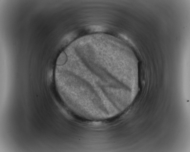 X0000083570406200703091642