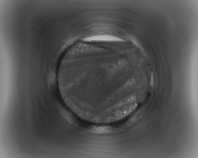 X0000083570407200703091642