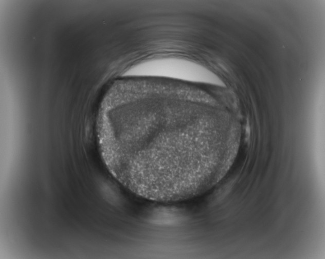 X0000083570408200703091642
