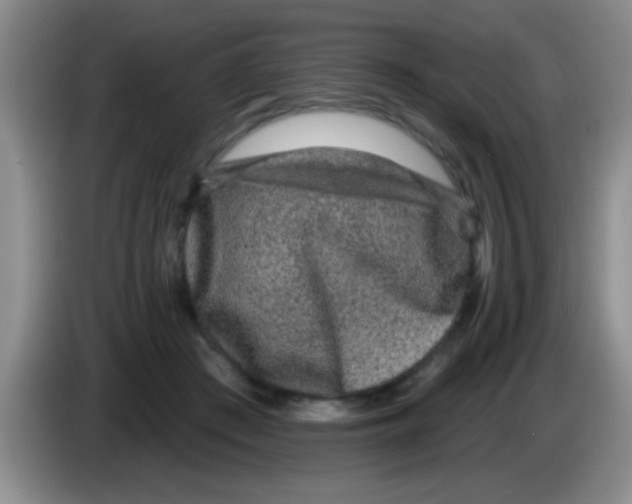X0000083570409200703091642