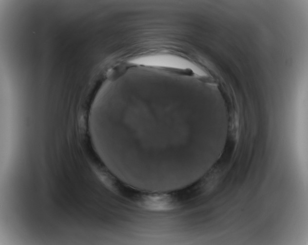 X0000083570410200703091642