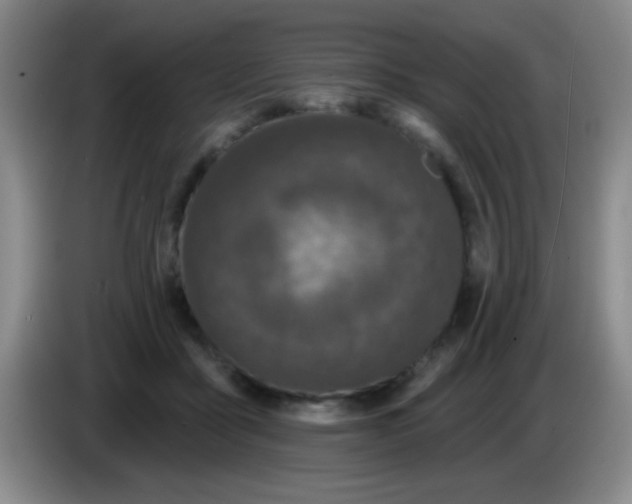 X0000083570411200703091642