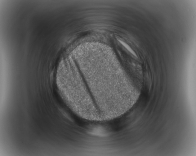 X0000083570412200703091642