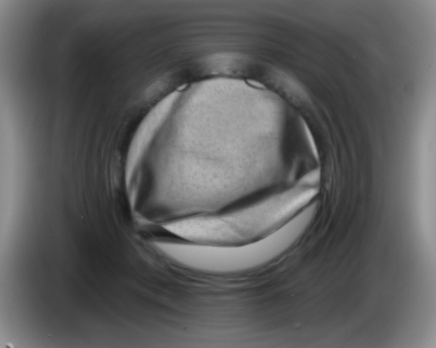 X0000083570413200703091642