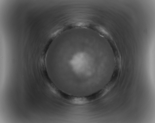X0000083570415200703091642