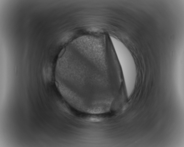 X0000083570416200703091642