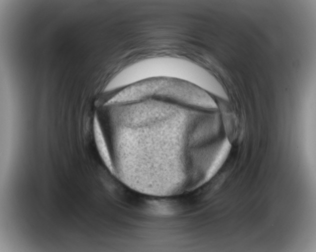 X0000083570417200703091642
