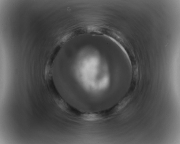 X0000083570419200703091642