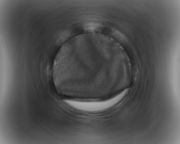 X0000083570420200703091642