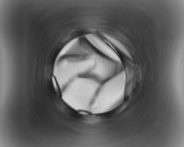 X0000083570421200703091641