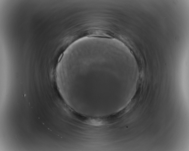 X0000083570423200703091641