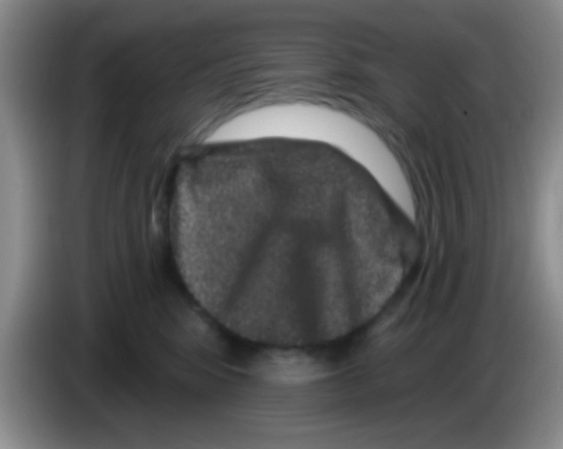 X0000083570424200703091641