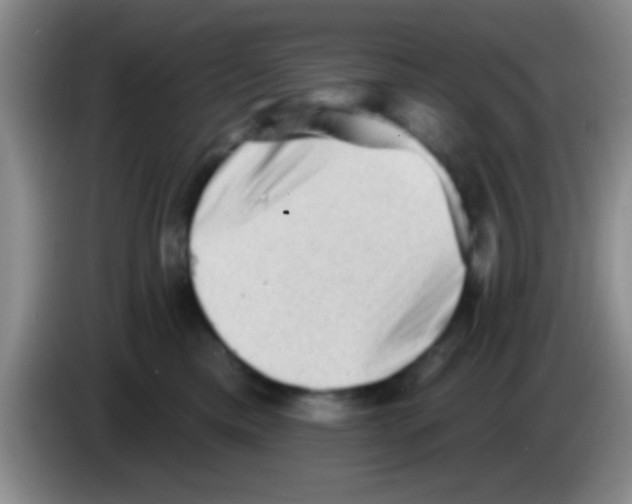 X0000083570425200703091641