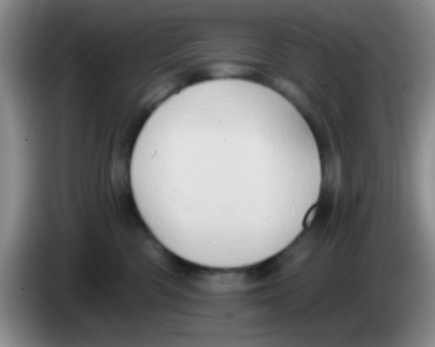 X0000083570426200703091641