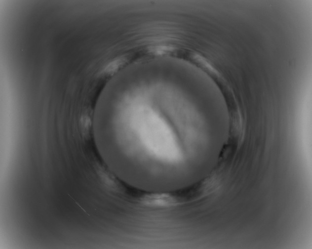 X0000083570427200703091641