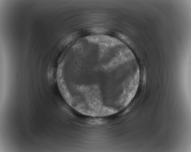 X0000083570428200703091641
