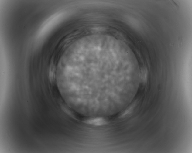 X0000083570431200703091641