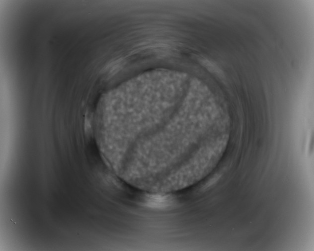 X0000083570432200703091641