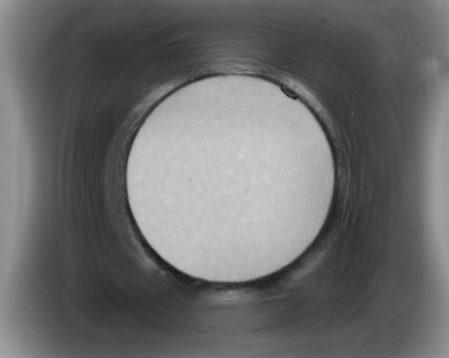 X0000083570433200703091641