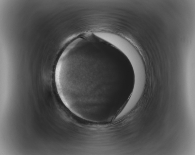 X0000083570434200703091641