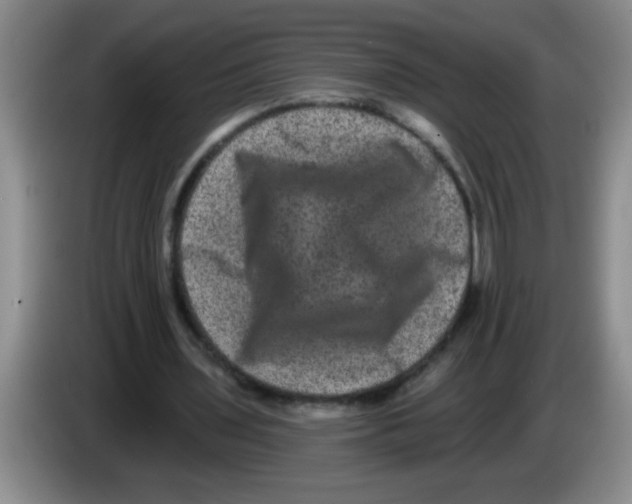 X0000083570435200703091641