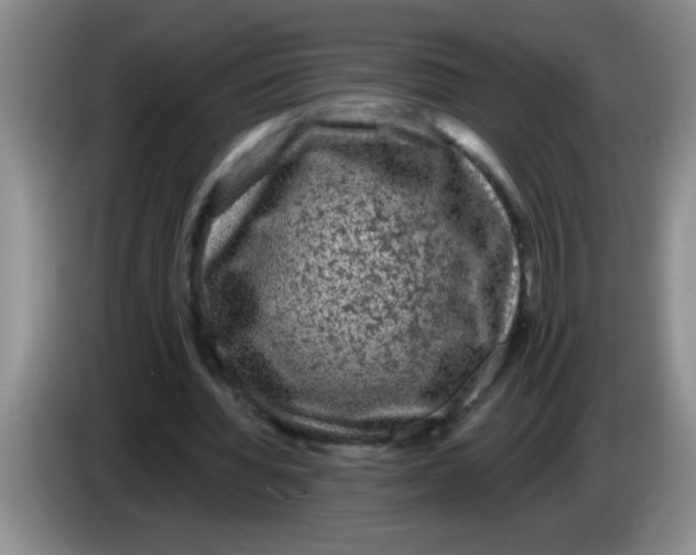 X0000083570436200703091641