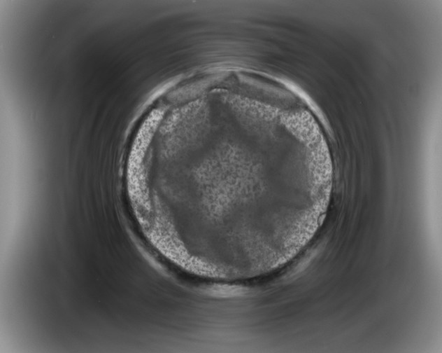 X0000083570437200703091641