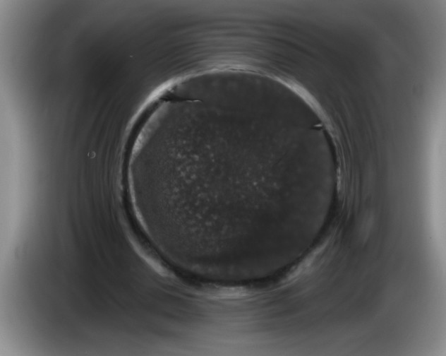 X0000083570438200703091641