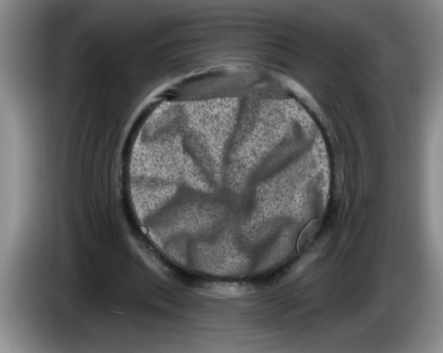 X0000083570439200703091641