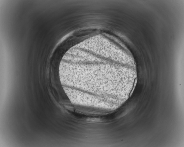 X0000083570440200703091641