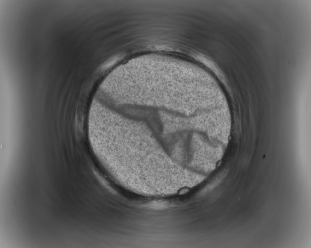 X0000083570441200703091641
